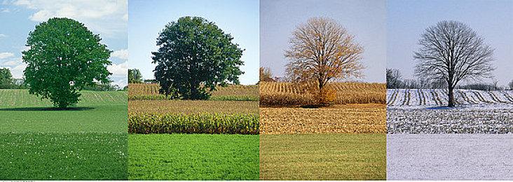 《阴影笼罩》发布新视频 展示基地建设机制